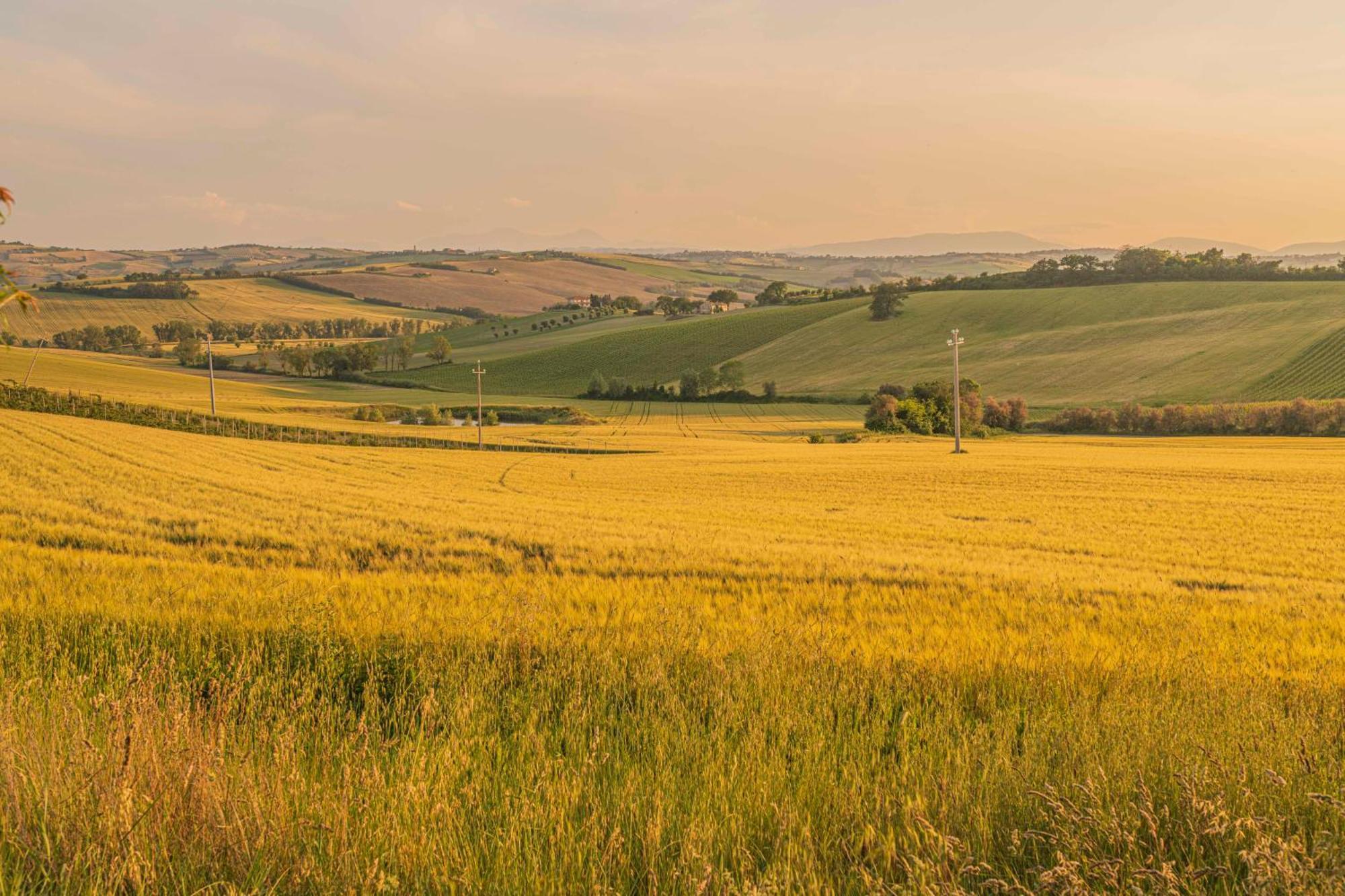 Agri Divin Amore San Costanzo Esterno foto